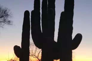 28240 N 168th Ave, Surprise, AZ 85387 - Photo 69