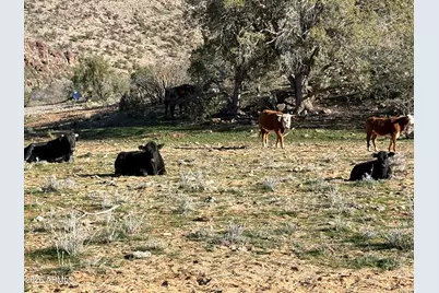 Xxxxx Knight Creek Road #1-A, Kingman, AZ 86401 - Photo 21