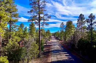 6101 E Starlight Ridge Road Rd, Lakeside, AZ 85929 - Photo 1