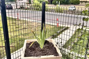 644 Tombstone Canyon, Bisbee, AZ 85603 - Photo 29