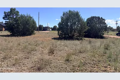 2287 Meadow Lane #165, Overgaard, AZ 85933 - Photo 1