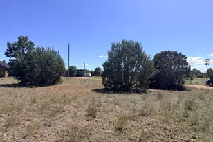2287 Meadow Ln, Overgaard, AZ 85933 - Photo 1