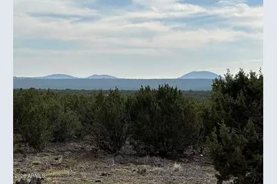 1350 Baha Road, Show Low, AZ 85901 - Photo 21