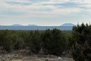 1350 Baha Rd, Show Low, AZ 85901 - Photo 21