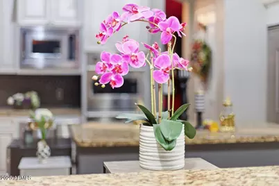 3452 E Jaeger Circle, Mesa, AZ 85213 - Photo 17