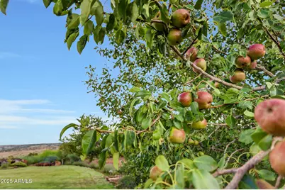 14 Cr 5309 --, Concho, AZ 85924 - Photo 45
