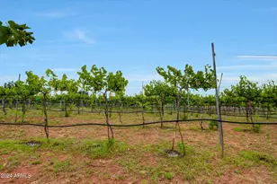 14 CR 5309, Concho, AZ 85924 - Photo 45