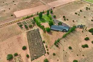 14 CR 5309, Concho, AZ 85924 - Photo 31