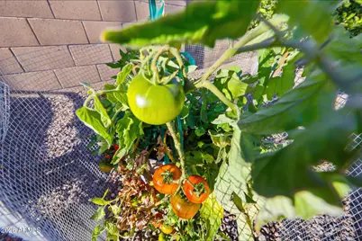 16718 S 181st Avenue, Goodyear, AZ 85338 - Photo 59