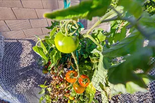 16718 S 181st Ave, Goodyear, AZ 85338 - Photo 59