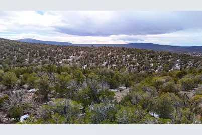 0 W Elkhorn Pass 36 Acres -- #-, Seligman, AZ 86337 - Photo 11