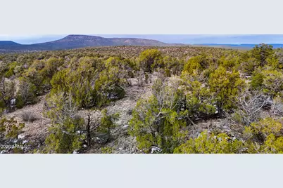 0 W Elkhorn Pass 36 Acres -- #-, Seligman, AZ 86337 - Photo 5