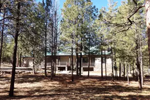 1884 Blue Sky Cir, Happy Jack, AZ 86024 - Photo 7