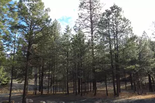 1884 Blue Sky Cir, Happy Jack, AZ 86024 - Photo 39