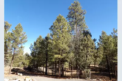 1884 Blue Sky Circle, Happy Jack, AZ 86024 - Photo 39