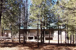 1884 Blue Sky Cir, Happy Jack, AZ 86024 - Photo 5