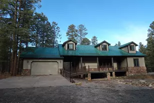 1884 Blue Sky Cir, Happy Jack, AZ 86024 - Photo 3