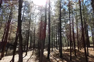 1884 Blue Sky Cir, Happy Jack, AZ 86024 - Photo 41