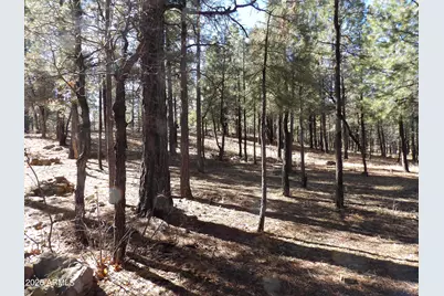 1884 Blue Sky Circle, Happy Jack, AZ 86024 - Photo 35
