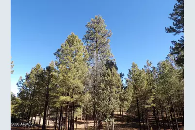 1884 Blue Sky Circle, Happy Jack, AZ 86024 - Photo 37