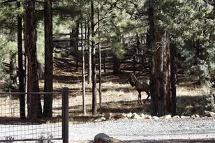 1884 Blue Sky Cir, Happy Jack, AZ 86024 - Photo 43