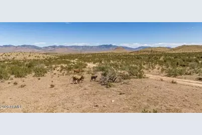 20455 N Skipper Boulevard #282, White Hills, AZ 86445 - Photo 7