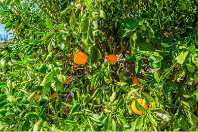 19426 N Lakeforest Drive, Sun City, AZ 85373 - Photo 29