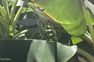 4018 E Harrison St, Gilbert, AZ 85295 - Photo 15