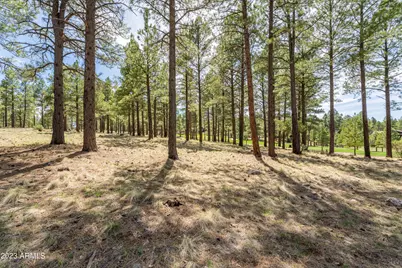 3655 S Woodland Hills Drive #366, Flagstaff, AZ 86005 - Photo 13