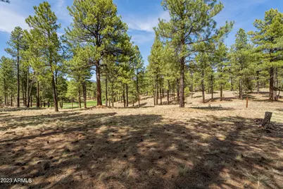 3655 S Woodland Hills Drive #366, Flagstaff, AZ 86005 - Photo 11