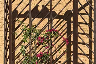 1315 N Arroya Rd, Apache Junction, AZ 85119 - Photo 9