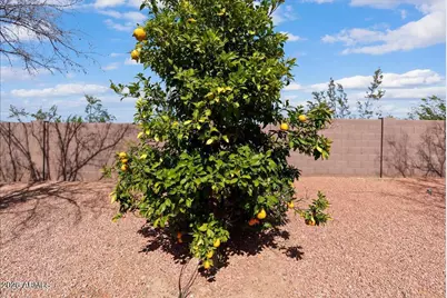 13002 W San Juan Avenue, Litchfield Park, AZ 85340 - Photo 7