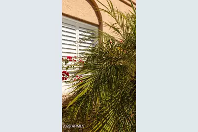 8108 E Del Joya Drive, Scottsdale, AZ 85258 - Photo 43