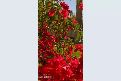 8108 E Del Joya Drive, Scottsdale, AZ 85258 - Photo 39