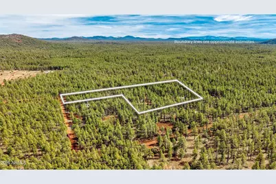 4.74 Acres Birdsong Way #-, Lakeside, AZ 85929 - Photo 3