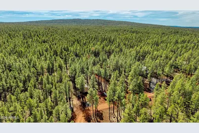 4.74 Acres Birdsong Way #-, Lakeside, AZ 85929 - Photo 3