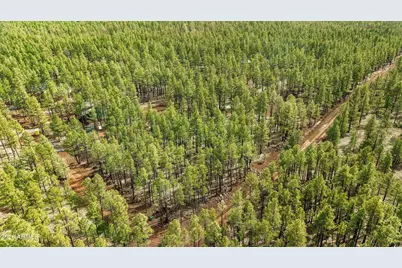 1 Acre Birdsong Way #-, Lakeside, AZ 85929 - Photo 5