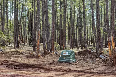 1 Acre Birdsong Way #-, Lakeside, AZ 85929 - Photo 7