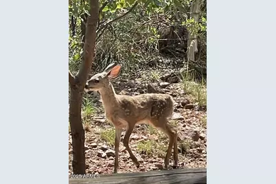 6215 W Sharyn Road, Pine, AZ 85544 - Photo 77