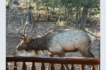 6215 W Sharyn Road, Pine, AZ 85544 - Photo 3