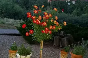 189 Wilson Canyon Rd, Sedona, AZ 86336 - Photo 47