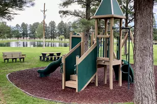 2351 Quarter Horse Trl, Overgaard, AZ 85933 - Photo 31