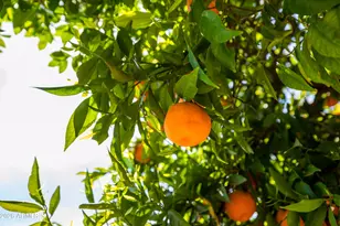 7528 N Del Norte Dr, Scottsdale, AZ 85258 - Photo 31