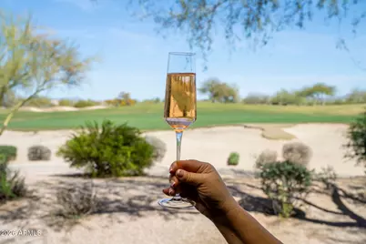 21320 N 56th Street #1055, Phoenix, AZ 85054 - Photo 15