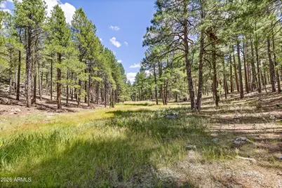 3456 Laurie Lane #9, Flagstaff, AZ 86005 - Photo 33