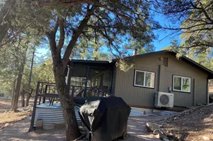 3483 N Hillside Rd, Pine, AZ 85544 - Photo 51