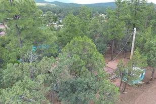 3483 N Hillside Rd, Pine, AZ 85544 - Photo 37