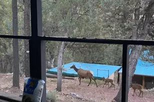 3483 N Hillside Rd, Pine, AZ 85544 - Photo 31