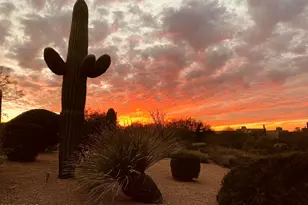 9726 E Hidden Green Dr, Scottsdale, AZ 85262 - Photo 9