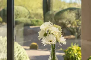 9726 E Hidden Green Dr, Scottsdale, AZ 85262 - Photo 33